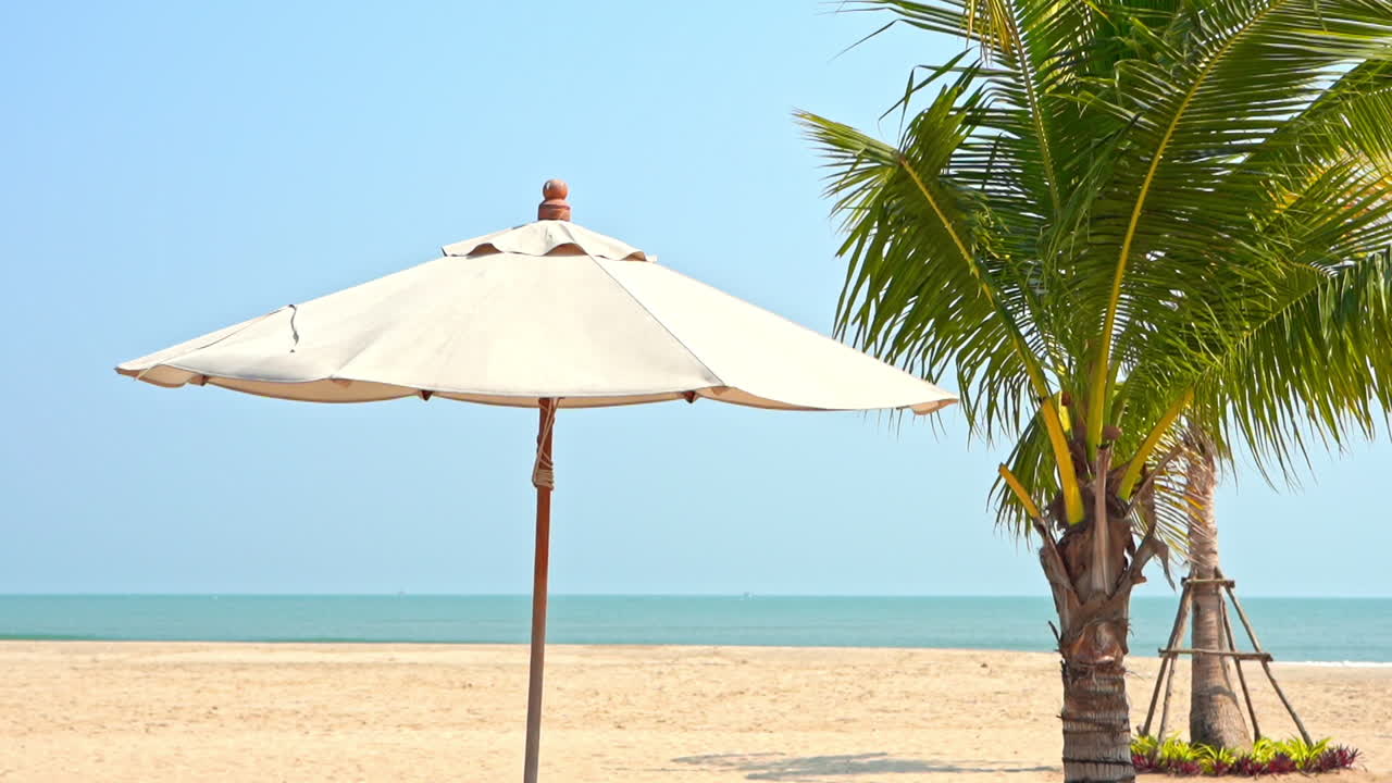 sombrilla y palmera en la playa blanca