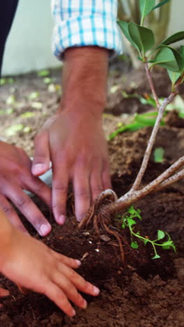 padre y hija plantando un árbol en el jardín en el patio trasero