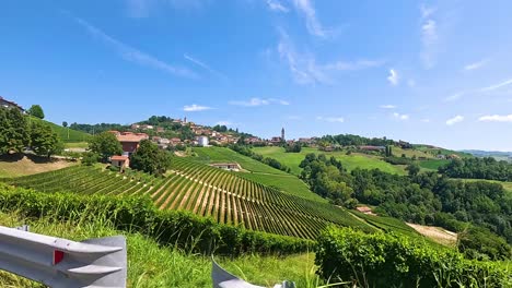 lush vineyards under a clear blue sky