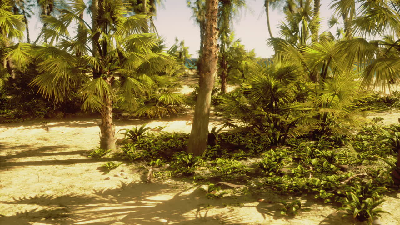 Lush tropical landscape with palm trees and vibrant greenery near the coast