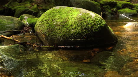 4k-New-Hampshire-Wildnis-Stationärer-Schuss-Eines-Mit-Moos-Bedeckten-Flussfelsens,-Während-Ein-Einzelnes-Grünes-Blatt-Ruhig-Vorbeischwimmt