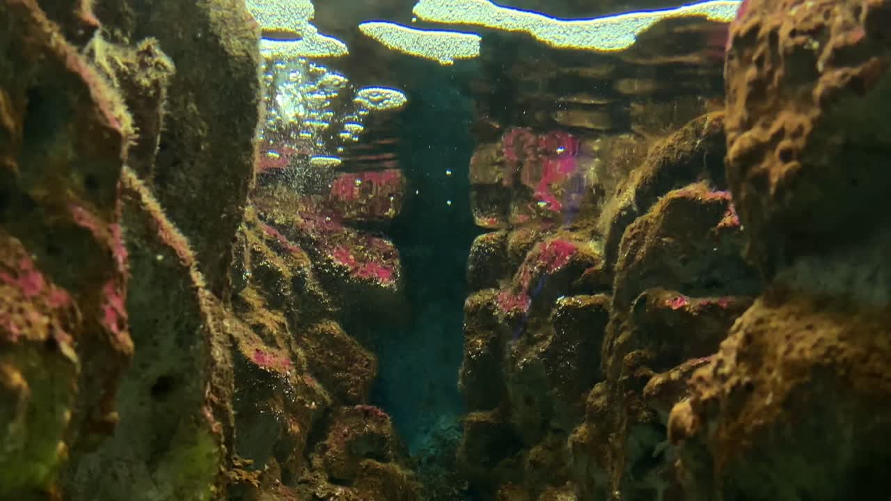Pemandangan bawah air melalui lorong berbatu dengan alga berwarna-warni dan gelembung udara.