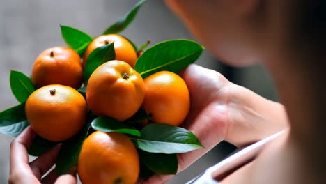 hands holding a bunch of fresh oranges with leaves