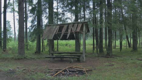 antiguo refugio de madera en el bosque. pista derecha