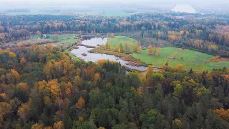 Aerial-View-of-Green-Pine-and-Spruce-Conifer-Treetops-Forest-Andl-Ake-in-Latvia