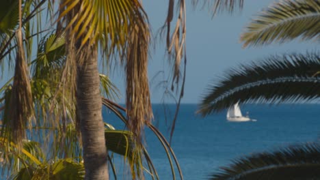 Una-Vela-Blanca-En-Un-Mar-Azul