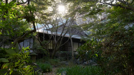 an ancient zen buddhist temple in tokyo, a halo of mystery and stillness runs through the place