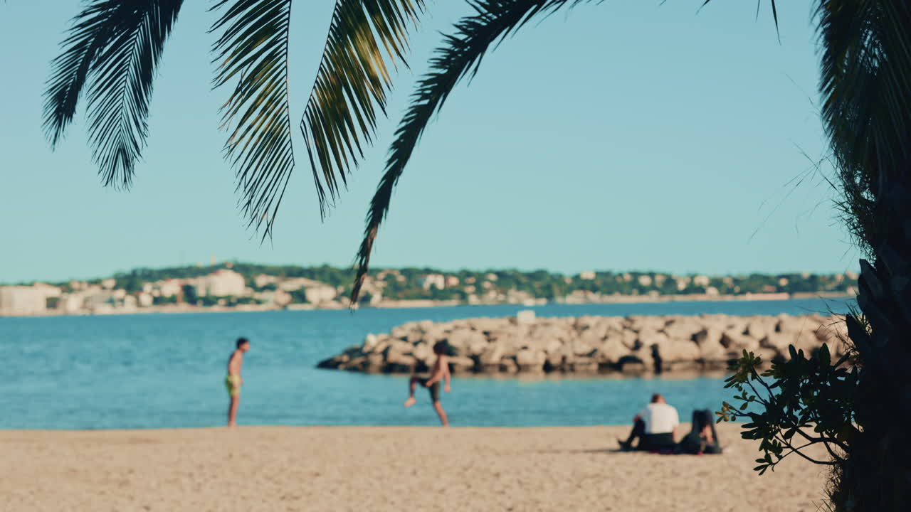 People relaxing and walking on a sandy beach by the sea, framed by palm leaves and tree trunk in the foreground with a coastal town in the distance