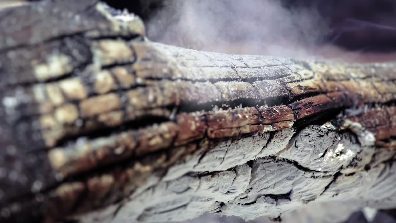Cinemagraph di fumo emesso da un tronco bruciato