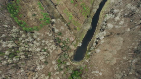 Cracked-rocky-earth-with-small-ponds-or-lakes-and-scattered-trees