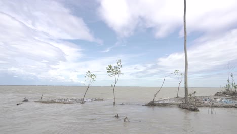 the water stream of a riverside village where trees went underwater after the flood