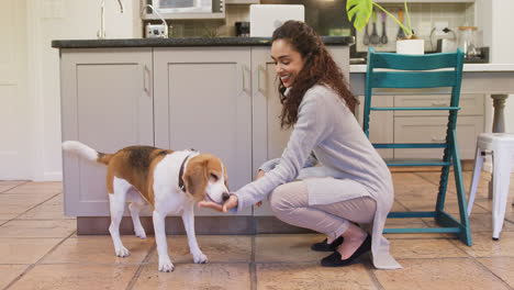 happy woman feeding food to her dog while stroking 4k 4k