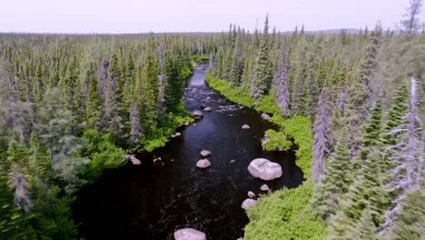 Viaje-Aéreo-A-Lo-Largo-De-Un-Hermoso-Arroyo-En-El-Remoto-Canadá