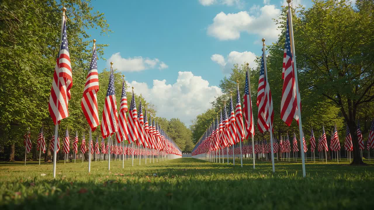 American flags rippling along grassy path in park as gentle breeze picking up, shadows moving