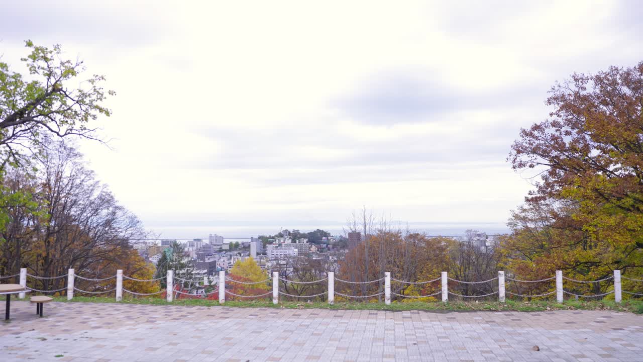 오타루 최고의 뷰