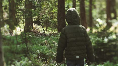 niño solo en el bosque