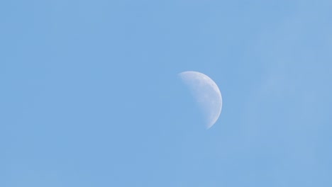 half moon daytime blue sky with clouds timelapse australia, victoria, gippsland, maffra medium shot