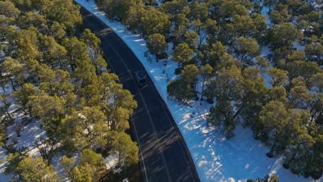 concrete road in snow forest near grand canyon national park in arizona, united states