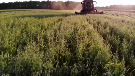 harvesting equipment in action: capturing the essence of agricultural machinery as it cuts through verdant fields during golden hour