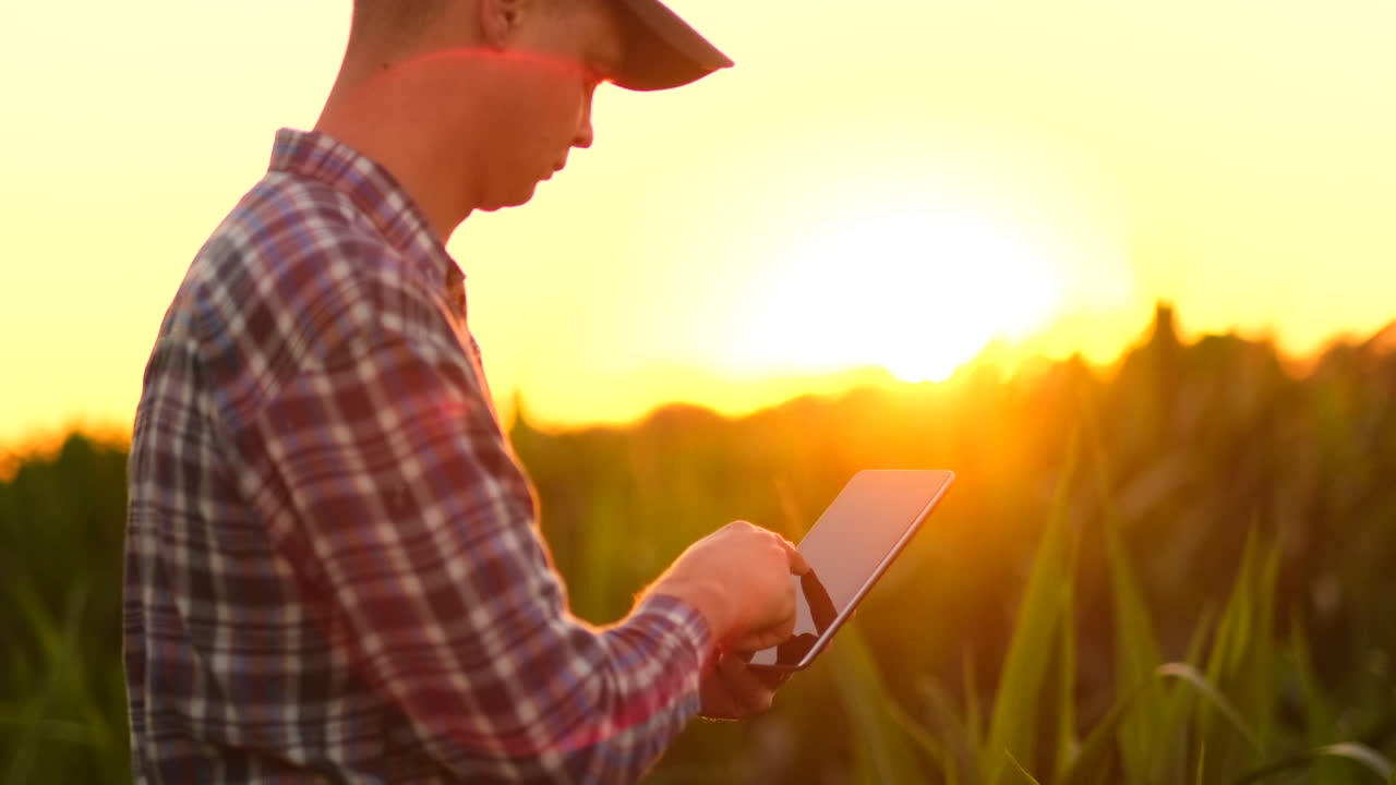 lens flare: agricultor que utiliza una tableta digital en el campo de cultivos de soja aplicación de la tecnología moderna en la actividad de cultivo agrícola