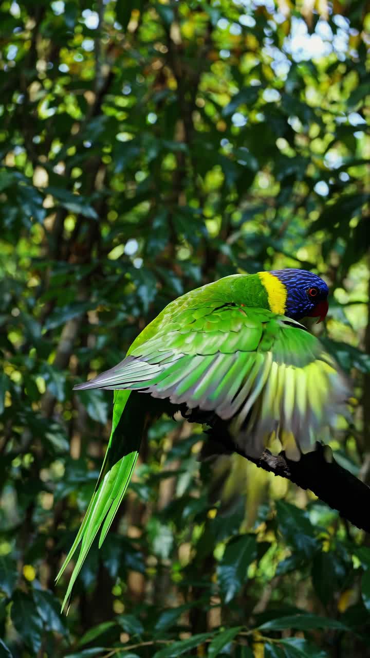 Vibrant parrot mid-motion on a branch, captured in a dynamic, slightly blurred style
