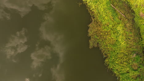 Sky-Reflecting-On-Tranquil-Lake-In-Cook's-Landing-Park,-Little-Rock,-Arkansas,-USA---aerial-top-down