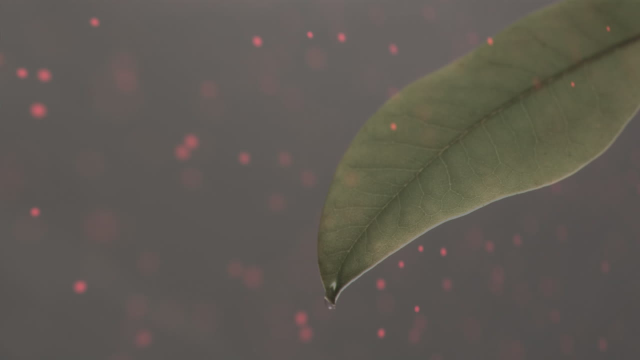 어두운 배경 위에 빨간색, 색, 파란색 콘페티가 떨어지는 애니메이션