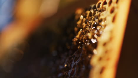 fresh appetizing looking honeycomb