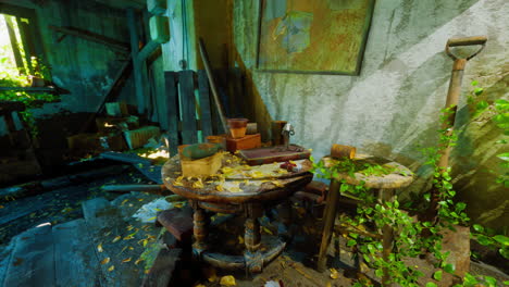 abandoned house with overgrown interior