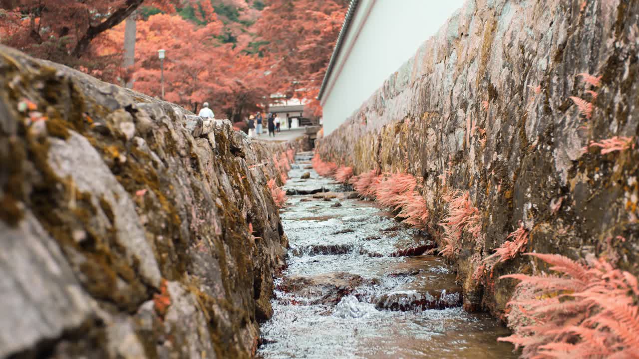 Small river flowing next to a wall surrounding a temple in Kyoto, Japan soft lighting slow motion 4K