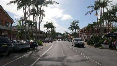 quiet street scene with parked cars and palm trees