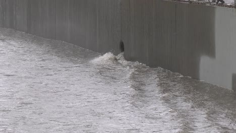 el río que fluye en un día lluvioso