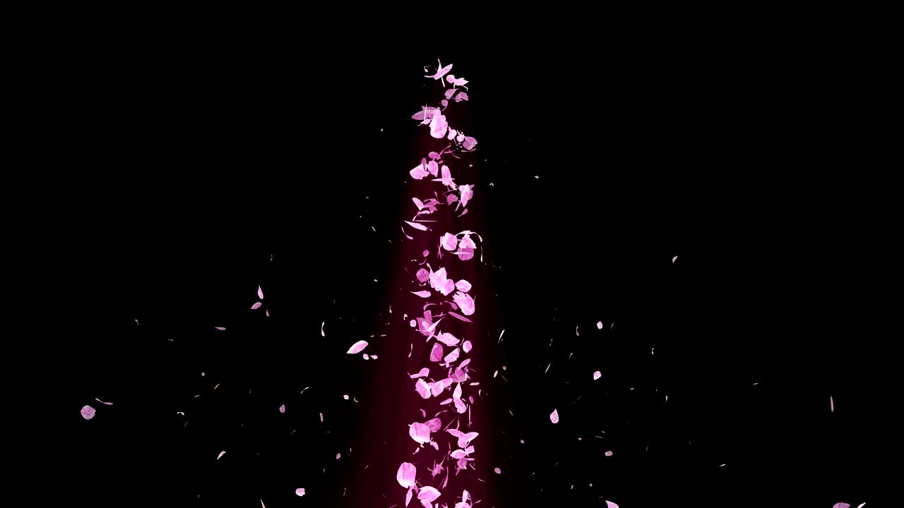 espiral partícula brillante de las flores de cerezo. patrón sakura. baile de cerezo japonés. vórtice de pétalos rosados. animación de bucle abstracto.