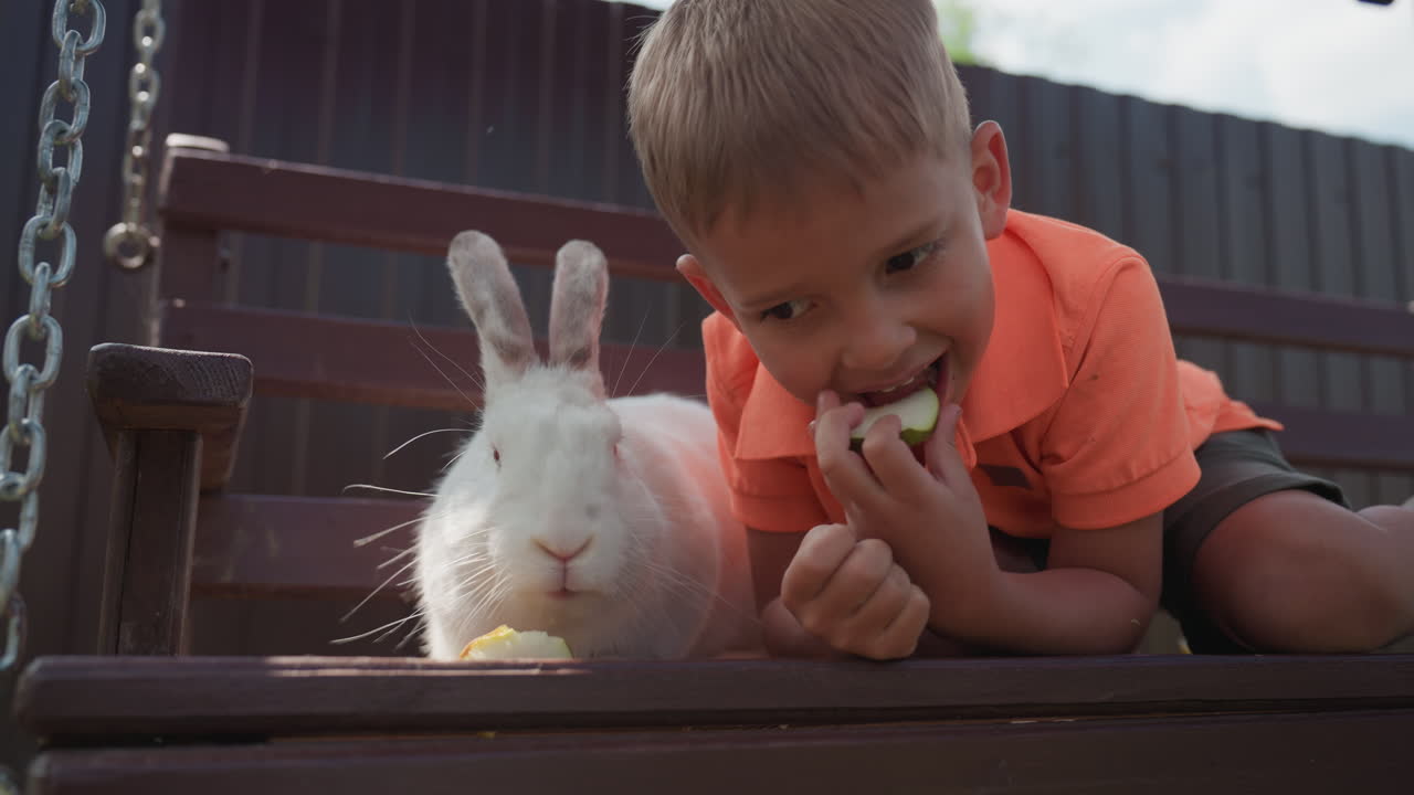 Youthful Innocence Under Sunny Backyard Skies, Child And Rabbit Enjoying Peaceful Afternoon Together Outdoors, Young Boy Lying Beside Rabbit On Swing With Playful Friend Sharing Snack