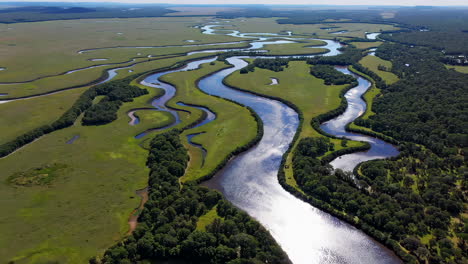 aerial view of a winding river through a lush green landscape