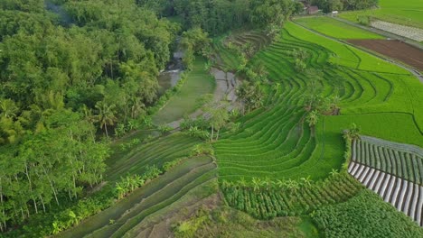 aerial view of rural landscape of indonesia