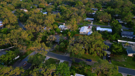 Angled drone flying over tree filled Tampa suburb with well kept lawns as evening approaches