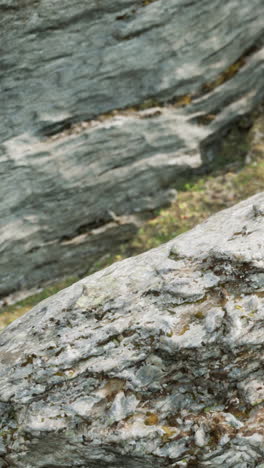 close-up of rock face