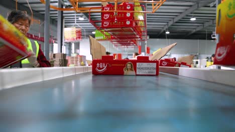 POV view of Kiwi fruits being expertly packed on a bustling production line in a factory located in Shaanxi Province, China. Footage captures the efficiency of the process.