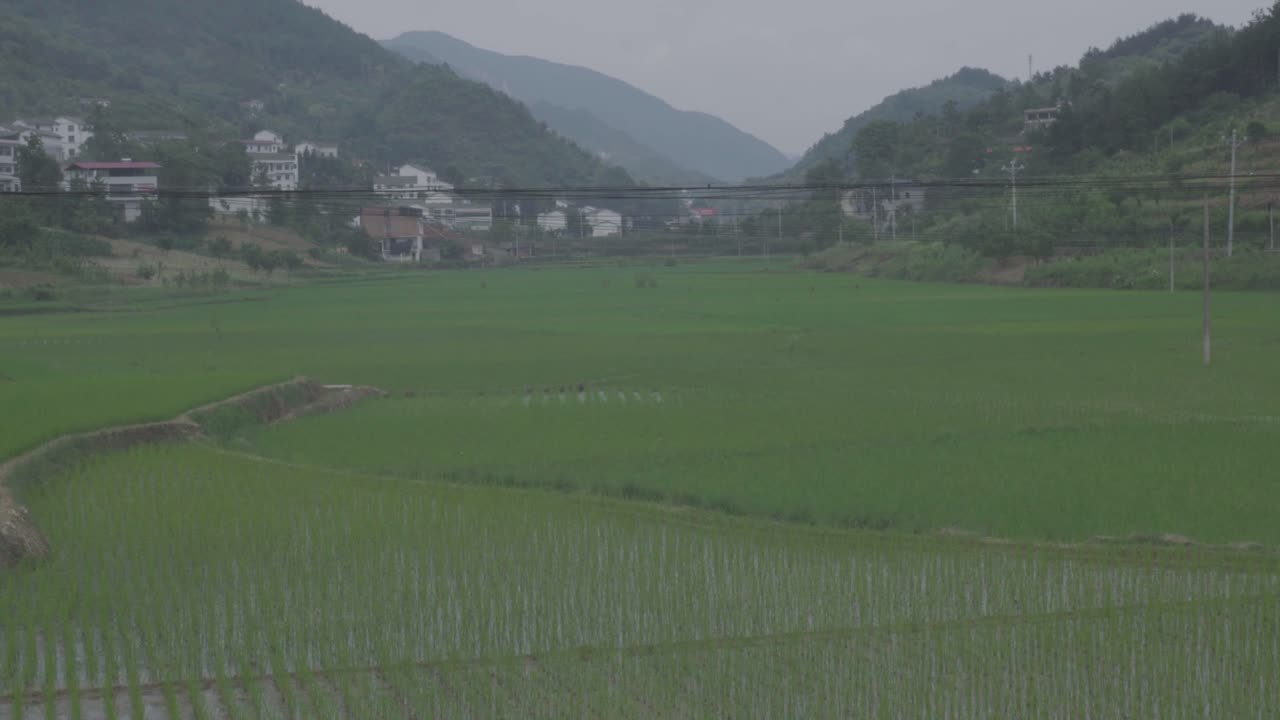 산악 지역과 평야 지역의 풍부한 농경지