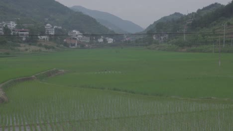 Ricas-Tierras-De-Cultivo-En-Zonas-Montañosas-Y-Llanas.