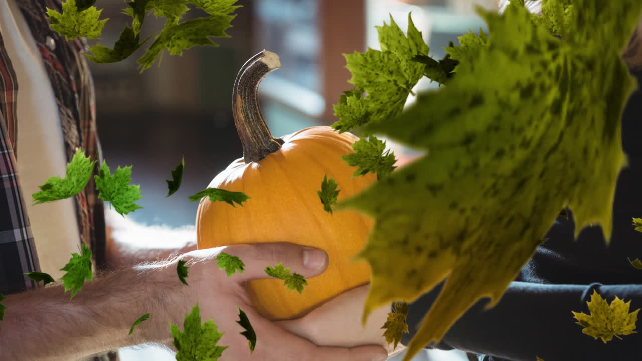 Animation of autumn leaves falling over couple holding pumkin