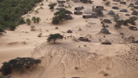 camel herder in terjit oasis village in mauritania sahara desert