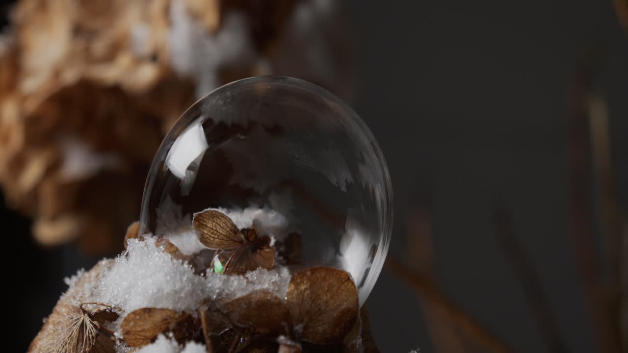 얼어붙는 거품의 모션 제어 시간 경과 시퀀스