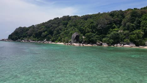 palmeras de playa de las seychelles rocas lisas