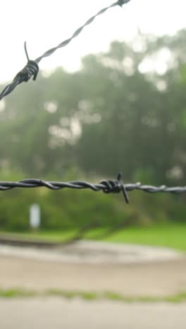 barbed wire at a historical site