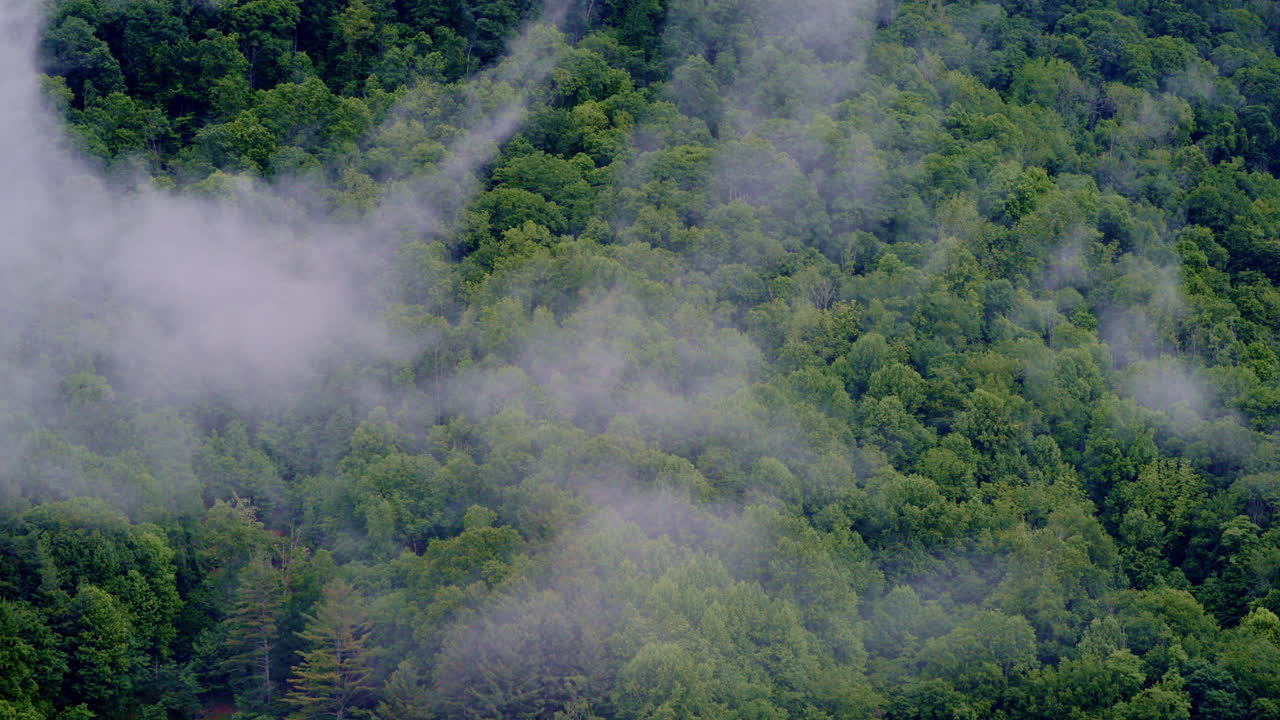 Aerial cinematic angle revealing a tranquil valley lost in morning mist