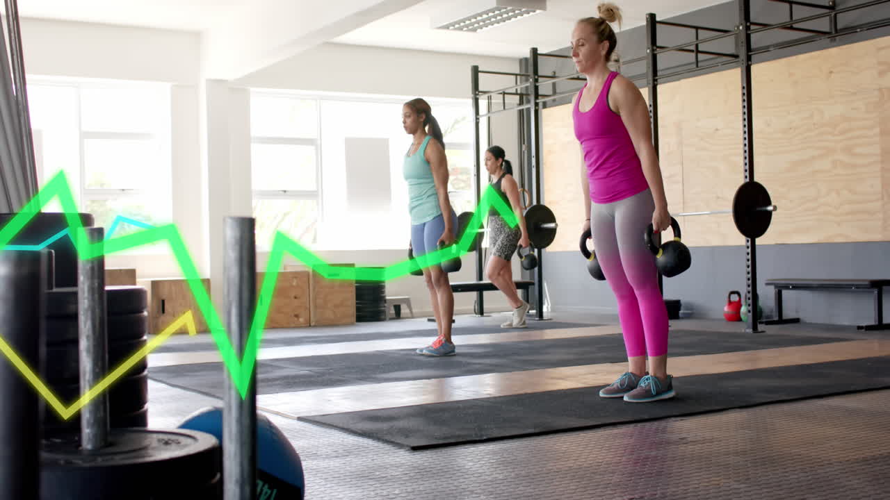 체육관에서 케틀벨을 사용하여 훈련하는 다양한 여성에 대한 그래프 처리 데이터의 애니메이션