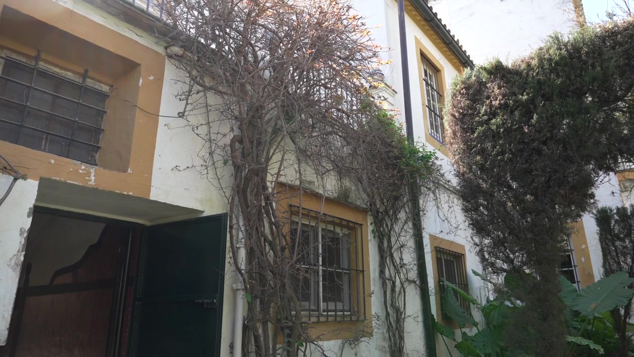 Facciata storica del cortile di Siviglia con viti e finestre con inferriate