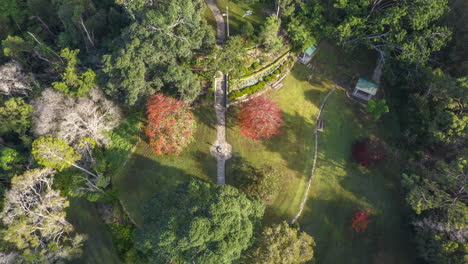 overhead time-lapse of a beautiful park in autumn, sydney